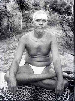 Ramakrishna enlightened master Ramana Maharashi, enlightened spiritual teacher, sitting on a tiger skin