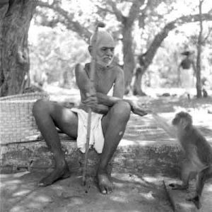Ramana Maharshi with a monkey at Ramana Ashram